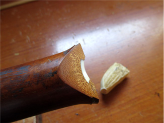 歌口入れ、鯨の歯