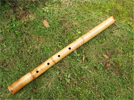 法竹イメージ画像01　尺八修理工房幻海