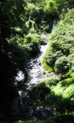 伊豆修善寺近辺の瀧源寺にある旭滝　尺八修理工房幻海